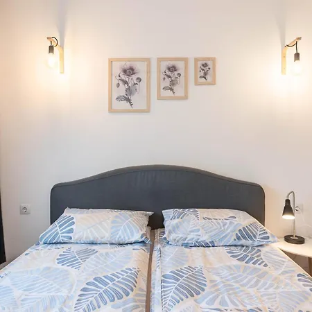 Comfort & Vibes * Varna